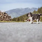 Panorama Guggenbichl - Inkl Sommerkarte, Einmaliger Eintritt Ins Tauern & Bester Ausblick Ueber カプルーン