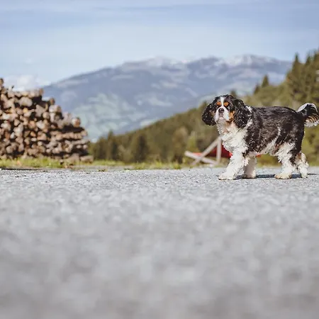 Panorama Guggenbichl - Inkl Sommerkarte, Einmaliger Eintritt Ins Tauern & Bester Ausblick Ueber Капрун
