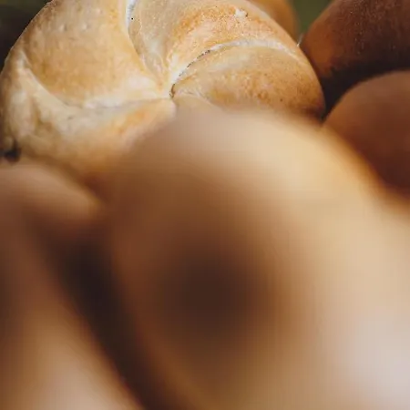 Panorama Guggenbichl - Inkl Sommerkarte, Einmaliger Eintritt Ins Tauern & Bester Ausblick Ueber Апартаменти Капрун