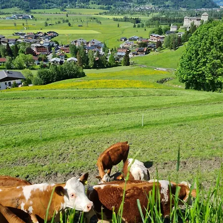 Panorama Guggenbichl - Inkl Sommerkarte, Einmaliger Eintritt Ins Tauern & Bester Ausblick Ueber 카프룬