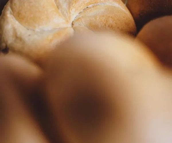 Panorama Guggenbichl - Inkl Sommerkarte, Einmaliger Eintritt Ins Tauern & Bester Ausblick Ueber Διαμέρισμα Kaprun
