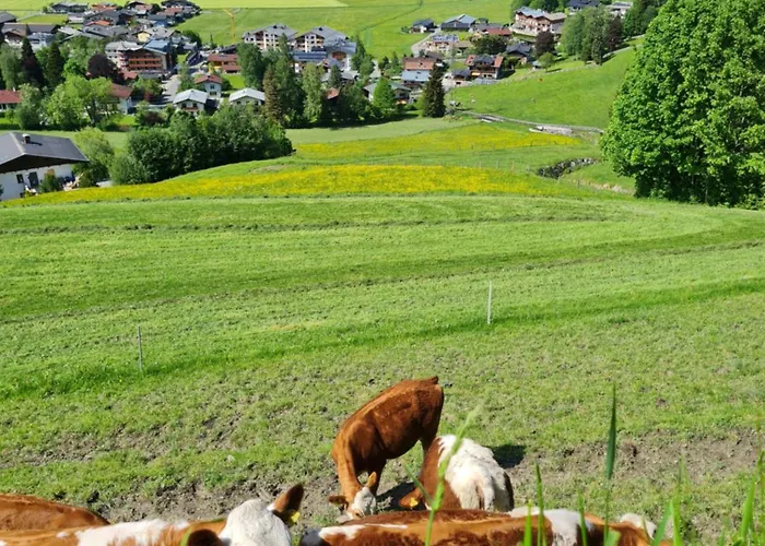 Panorama Guggenbichl - Inkl Sommerkarte, Einmaliger Eintritt Ins Tauern & Bester Ausblick Ueber カプルーン